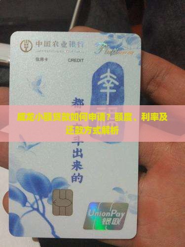 威龙小额贷款如何申请？额度、利率及还款方式解析