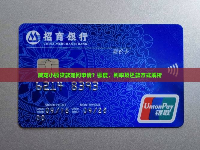 威龙小额贷款如何申请？额度、利率及还款方式解析