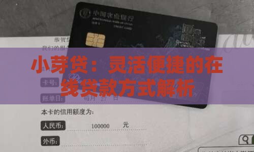 小芽贷：灵活便捷的在线贷款方式解析