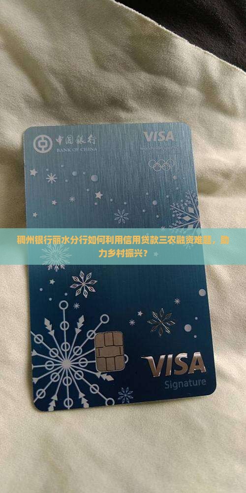稠州银行丽水分行如何利用信用贷款三农融资难题，助力乡村振兴？