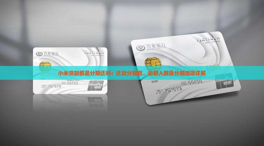 小米贷款都是分期还吗：还款分期数、逾期人数及分期选项详解