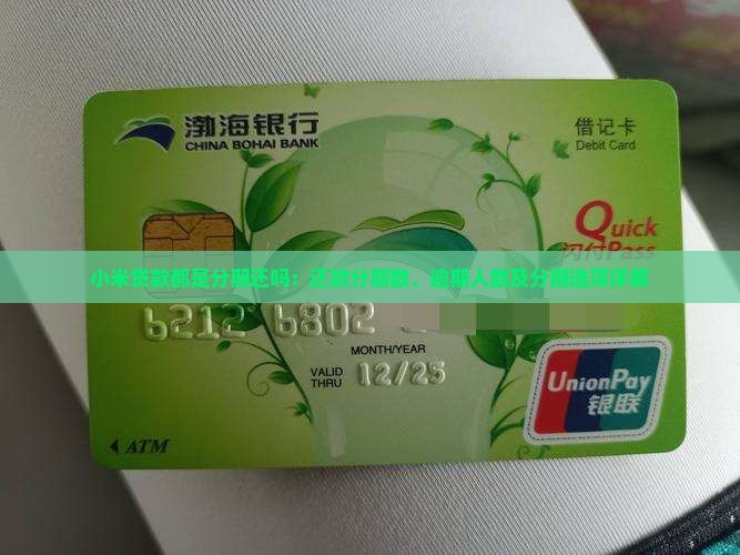 小米贷款都是分期还吗：还款分期数、逾期人数及分期选项详解