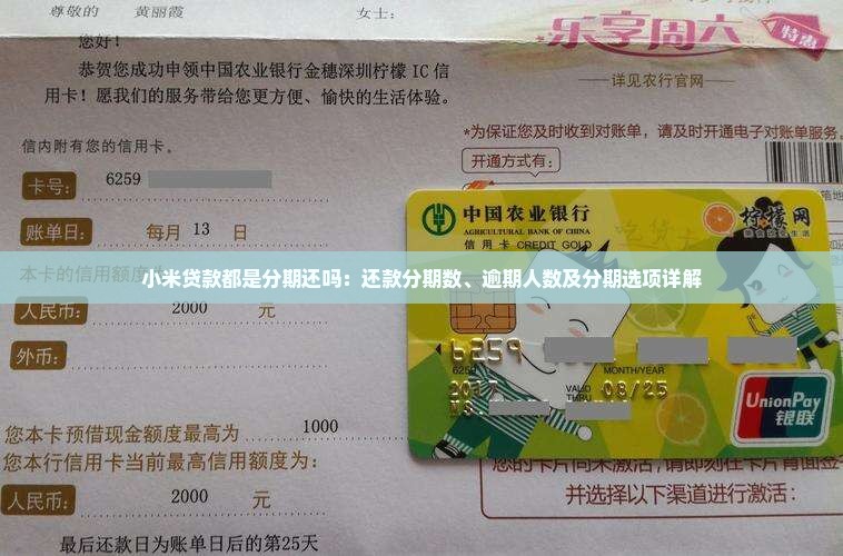 小米贷款都是分期还吗：还款分期数、逾期人数及分期选项详解