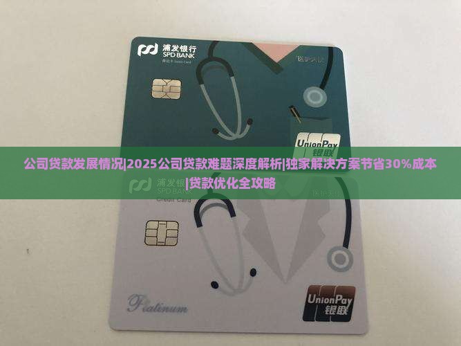 公司贷款发展情况