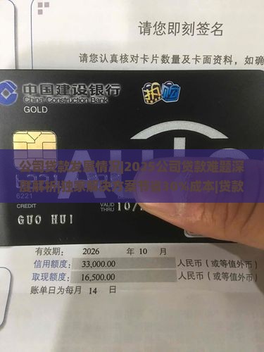 公司贷款发展情况
