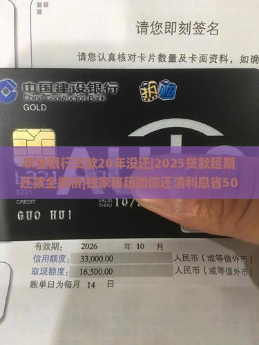 农业银行贷款20年没还