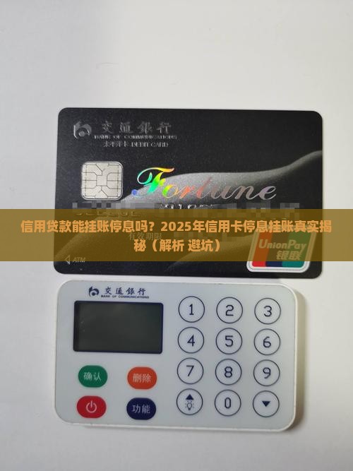 信用贷款能挂账停息吗