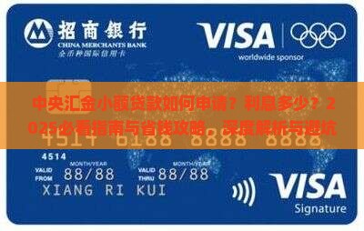 中央汇金小额贷款