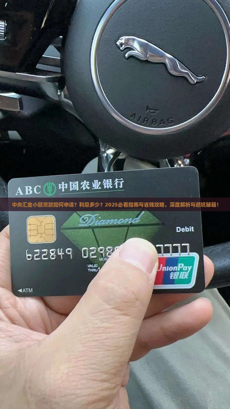 中央汇金小额贷款
