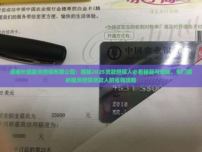 专门做贷款担保人的公司