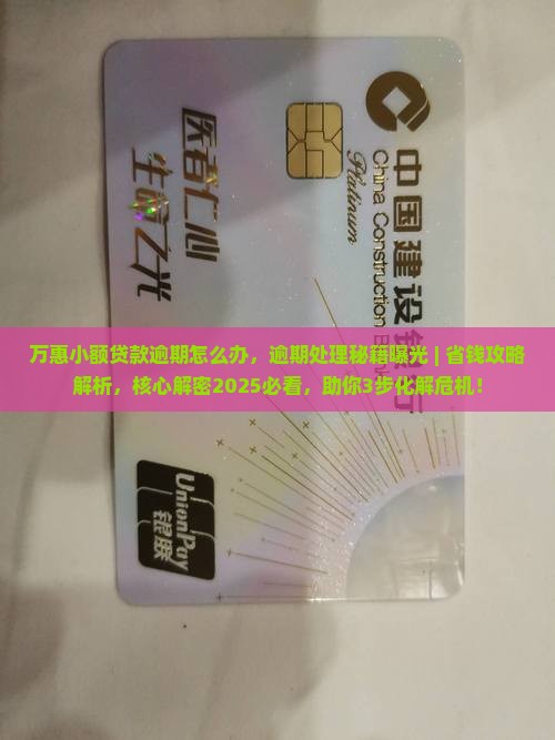 万惠小额贷款逾期怎么办