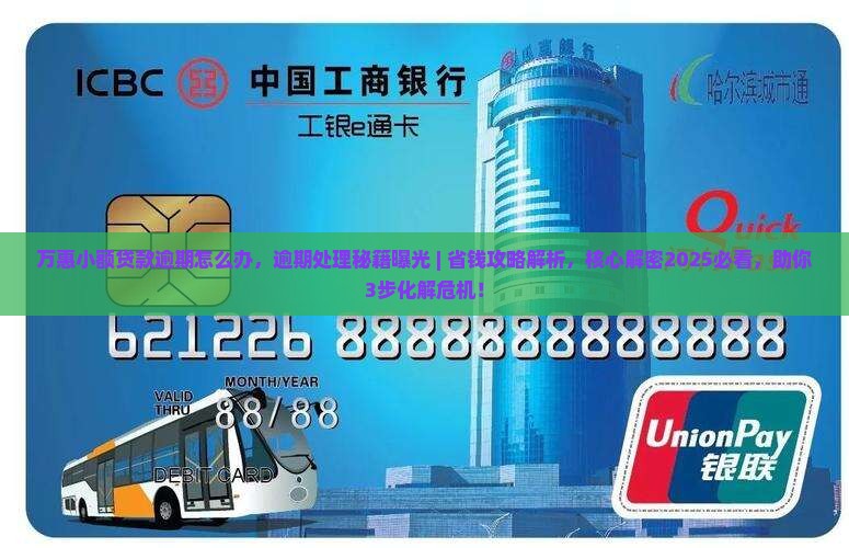 万惠小额贷款逾期怎么办