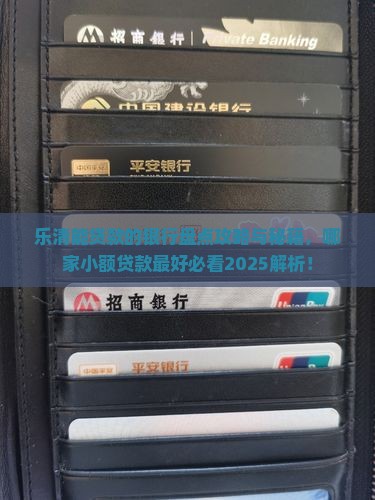 乐清能贷款的银行