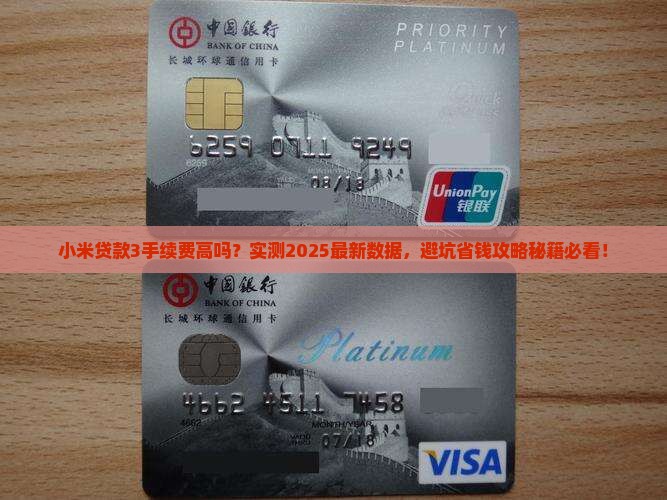小米贷款3手续费高吗