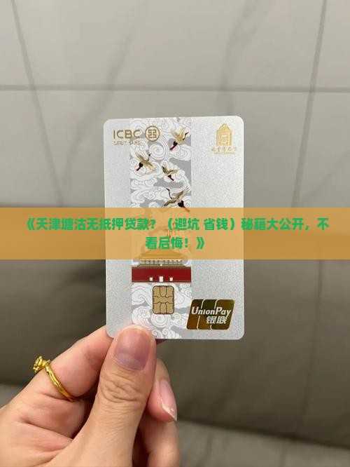 天津塘沽无抵押贷款公司
