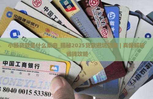 小额贷款是什么案由