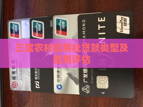 三宝镇农村信用社贷款