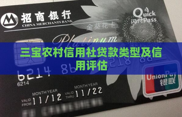 三宝镇农村信用社贷款