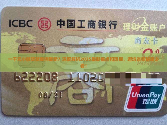 一千元小额贷款案例最新