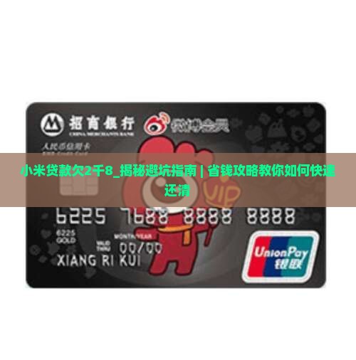 小米贷款欠2千8
