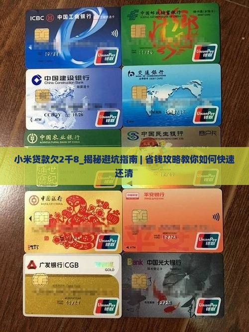 小米贷款欠2千8