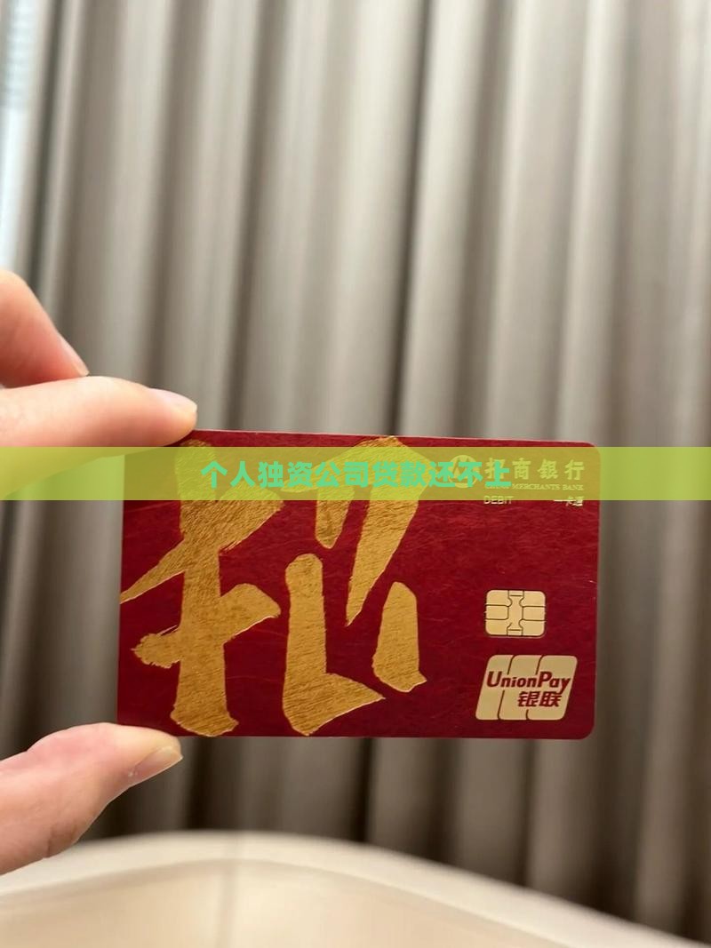 个人独资公司贷款还不上