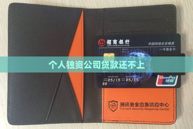 个人独资公司贷款还不上