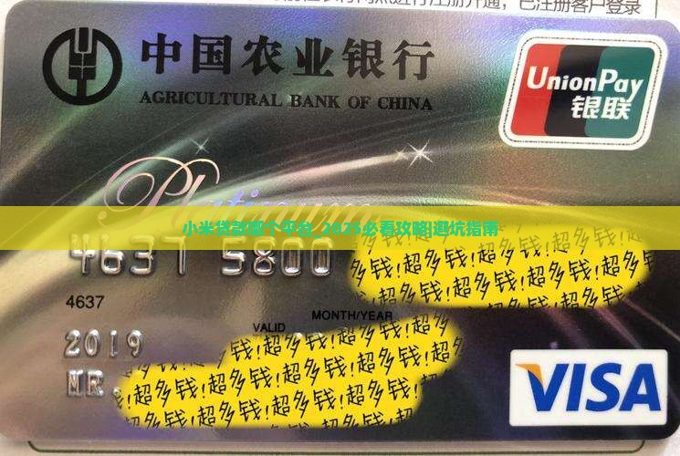 小米贷款哪个平台