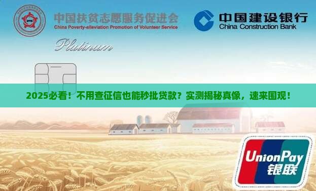 不需要征信秒批的贷款