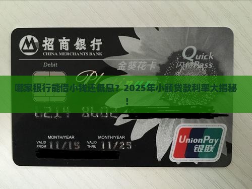 哪家银行能小额贷款利率