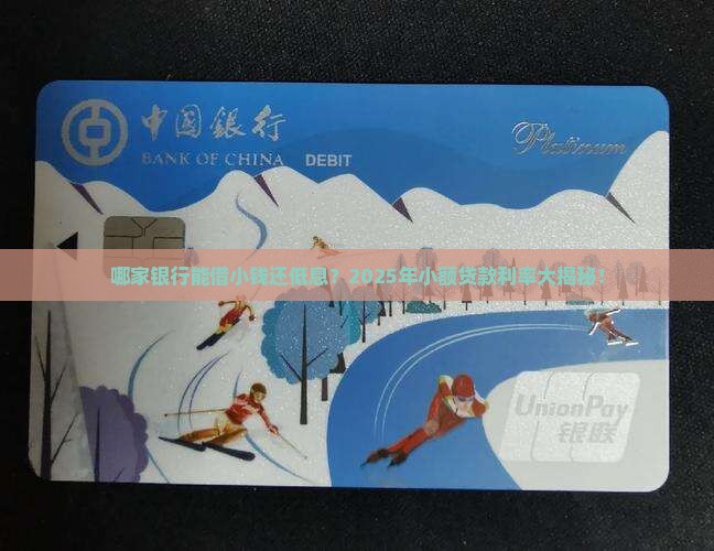 哪家银行能小额贷款利率