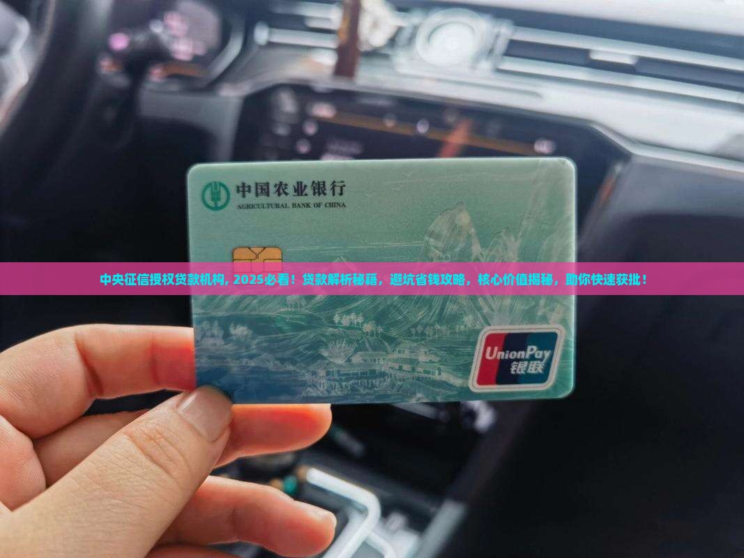 中央征信授权贷款机构