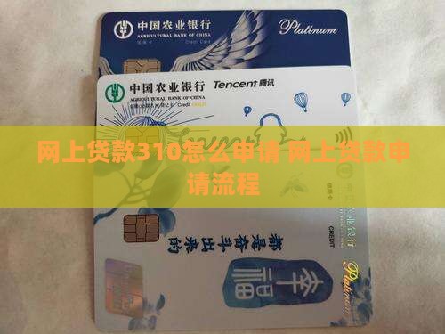 网上贷款310怎么申请