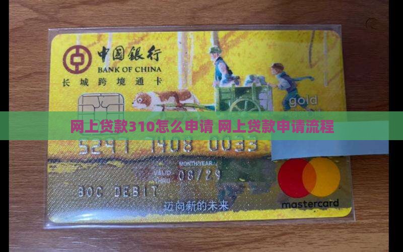 网上贷款310怎么申请