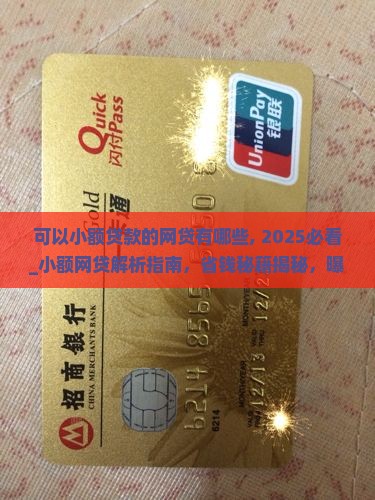 可以小额贷款的网贷有哪些
