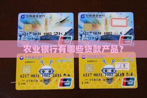 农业银行用什么贷款