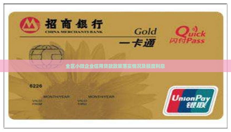 全区小微企业信用贷款