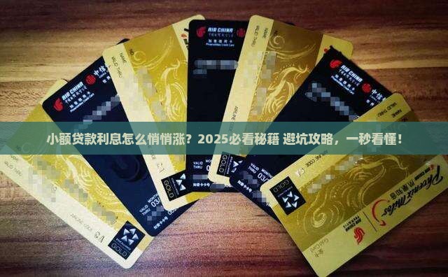 小额贷款怎样增加利息