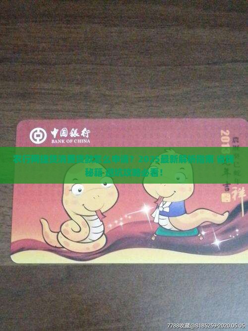 农行网捷贷的消费贷款