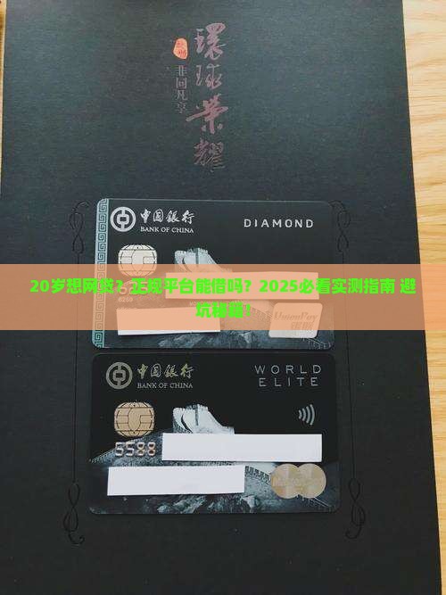 网贷正规平台20岁能贷款吗