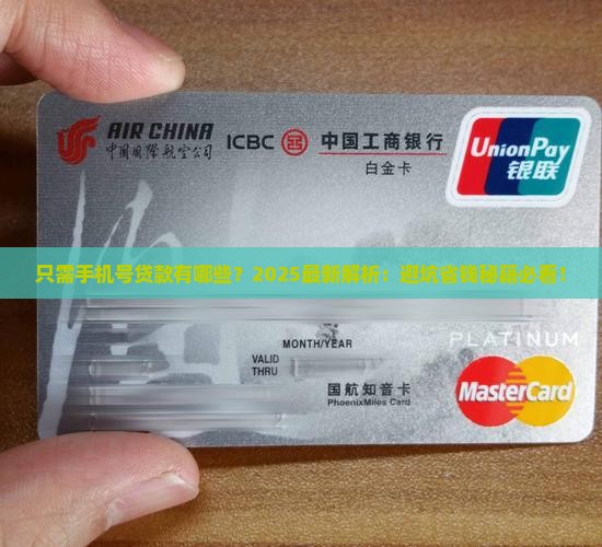 只需手机号贷款有哪些