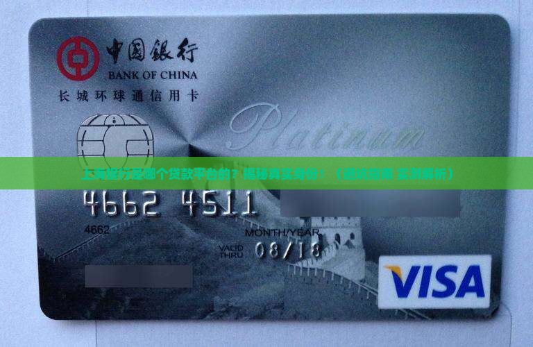 上海银行是哪个贷款平台的