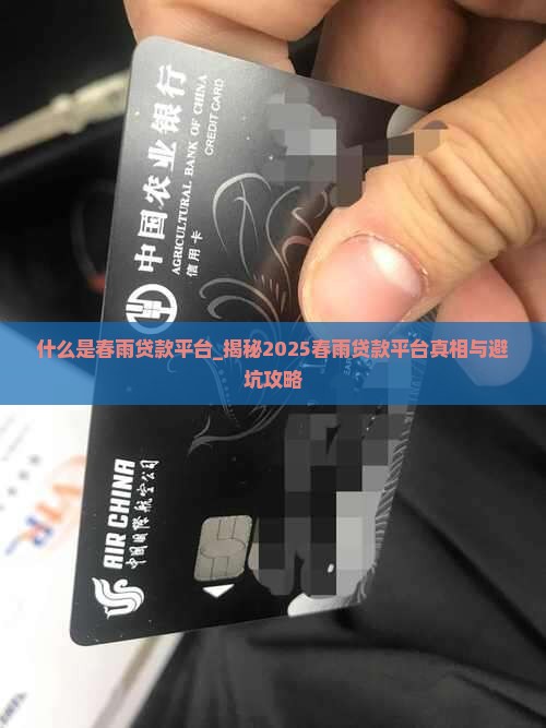什么是春雨贷款平台 什么是春雨贷款平台
