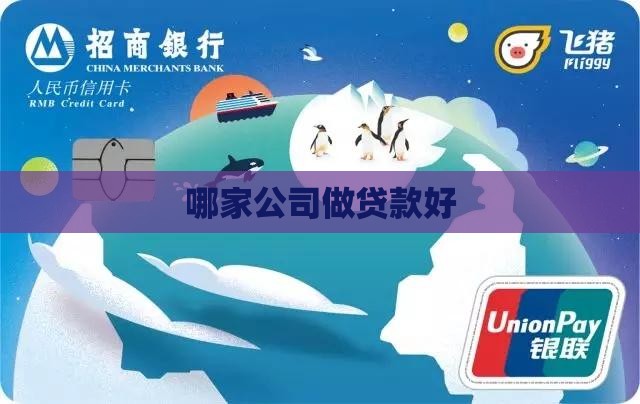 哪家公司做贷款好