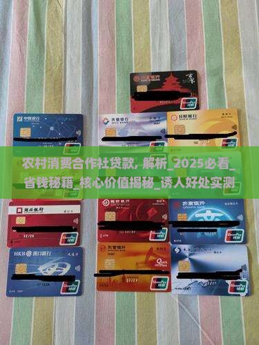 农村消费合作社贷款