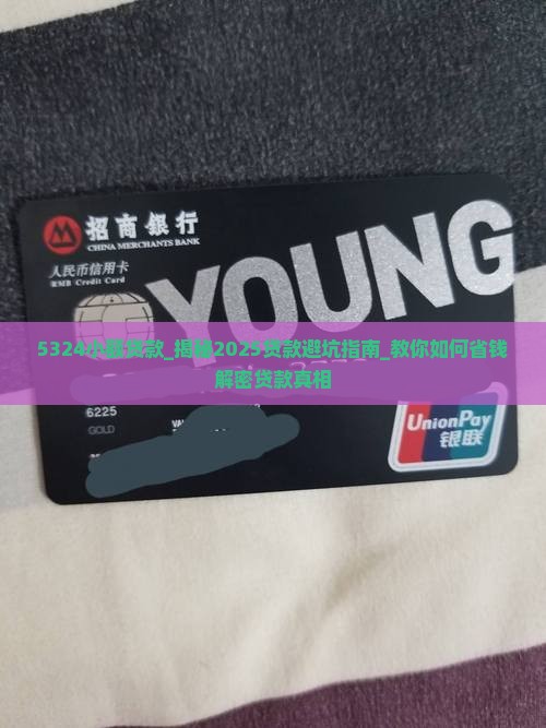 5324小额贷款