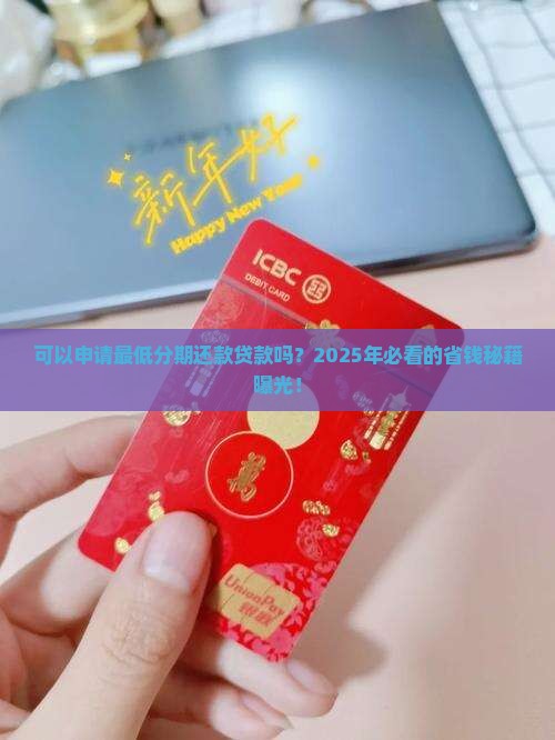 可以申请最低分期还款贷款吗