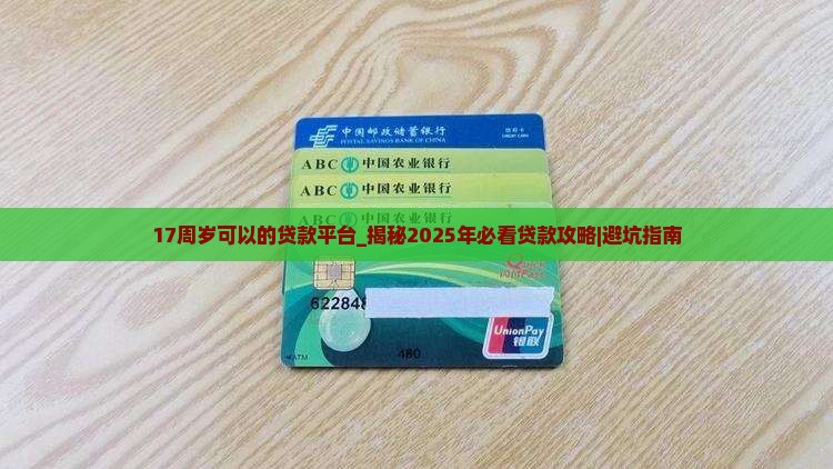 17周岁可以的贷款平台