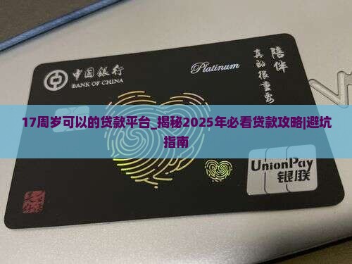 17周岁可以的贷款平台