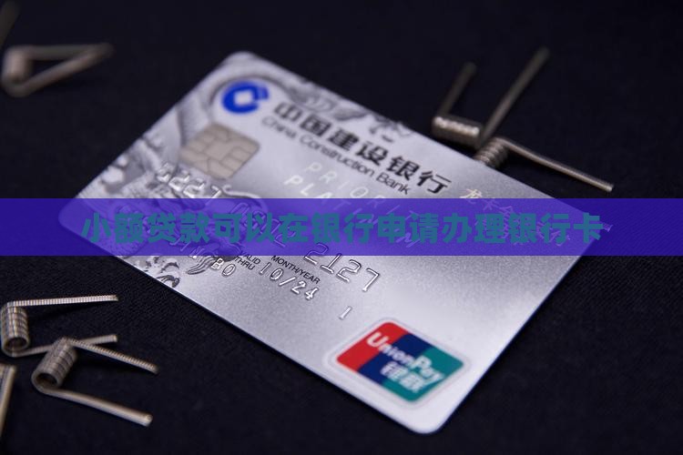 小额贷款在哪办银行卡啊